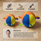 Interactive Colorful Herding Ball with Handles for Dogs – Durable Outdoor Training Toy