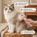 Premium pet brush with steam function