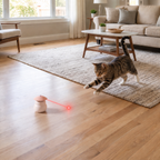Automatic Motion-Activated Cat Laser Toy