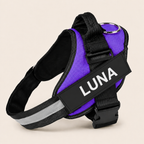 Personalized No-Pull Dog Harness for Easier Walks