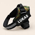 Personalized No-Pull Dog Harness for Easier Walks