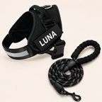 Personalized No-Pull Dog Harness for Easier Walks