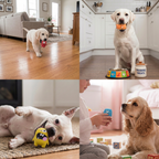 Durable Natural Monster Latex Dental Squeaky Dog Toy