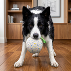 Indestructible Squeaky Dog Ball – Bite-Resistant Interactive Tug & Fetch Toy