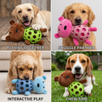 2-in-1 Bear Dog Toy – Squeaky Plush & Dental Chew Ball