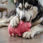 Durable Funny Sound Animal Dog Toy – Durable Latex Squeaky Chew Toy