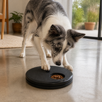 3-in-1 Interactive Dog Nail Scratch Toy with Treat Dispenser