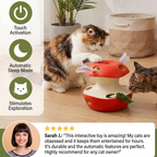 3-in-1 Apple-Shaped Cat Toy – Interactive Feather & Ball Toy