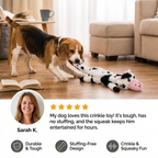 Durable Stuffing-Free Crinkle Squeaky Dog Toy