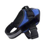 Reflective Adjustable Dog Harness with 3 Leash Clips – Padded for Walking & Training