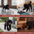 Upgraded Smart Rolling Dog Ball – Durable Interactive Toy with Mesh Tail