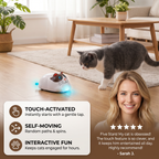 Touch-Activated Smart Cat Robot Toy