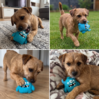 Durable Eco-Friendly Monster Teeth Cleaning Latex Squeaky Dog Toy