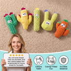 Catnip-Filled Cactus Teeth Cleaning Cat Toy