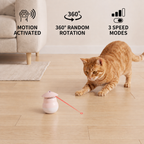 Automatic Motion-Activated Cat Laser Toy