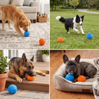 Eco-Friendly Bite-Resistant Smart Interactive Automatic Dog Ball