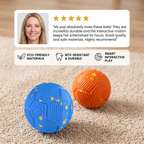 Eco-Friendly Bite-Resistant Smart Interactive Automatic Dog Ball