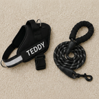 Personalized No-Pull Dog Harness with Front D-Ring – Designed for Neck & Shoulder Relief