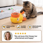 Interactive Game Food Dispenser for Cats