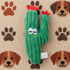 Catnip-Filled Cactus Teeth Cleaning Cat Toy
