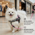 Personalized No-Pull Dog Harness with Front D-Ring – Designed for Neck & Shoulder Relief