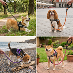 Personalized No-Pull Dog Harness with Front D-Ring – Designed for Neck & Shoulder Relief