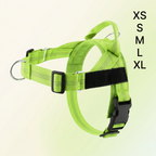 Personalized Reflective No-Pull Dog Harness with Custom Name Patch