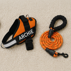 Personalized No-Pull Dog Harness with Front D-Ring – Designed for Neck & Shoulder Relief