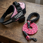 PerfectFit - Personalized No Pull Dog Harness