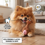 Durable Eco-Friendly Latex Squeaky Dental Dog Toy