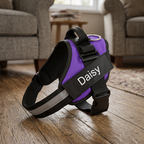 PerfectFit - Personalized No Pull Dog Harness