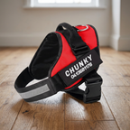 PerfectFit - Personalized No Pull Dog Harness