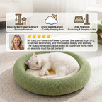 Flower Cat Scratcher Bed – Cozy 2-in-1 Scratching Lounge
