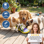 Squeaky slipper with sturdy cotton rope – dental care & fun for dogs