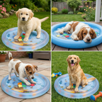 Interactive Cooling Water Bed for Dogs 2.0