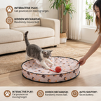 Interactive Hide and Seek Cat Toy