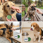 Care and protection cream for dog snouts